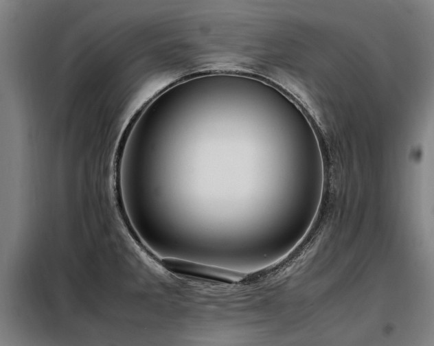 X0000098081285200804041140