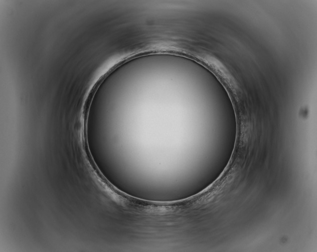 X0000098081286200804041140