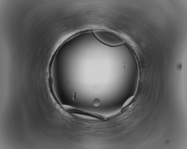 X0000098081287200804041140