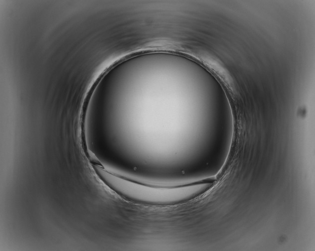 X0000098081288200804041140