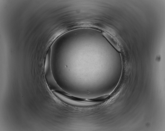 X0000098081289200804041140