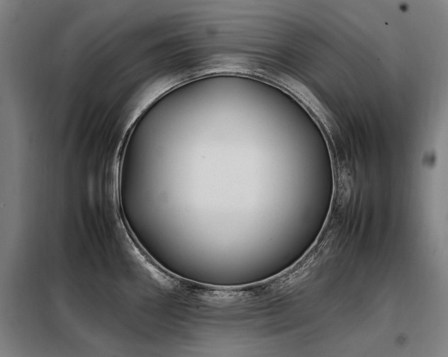 X0000098081290200804041140