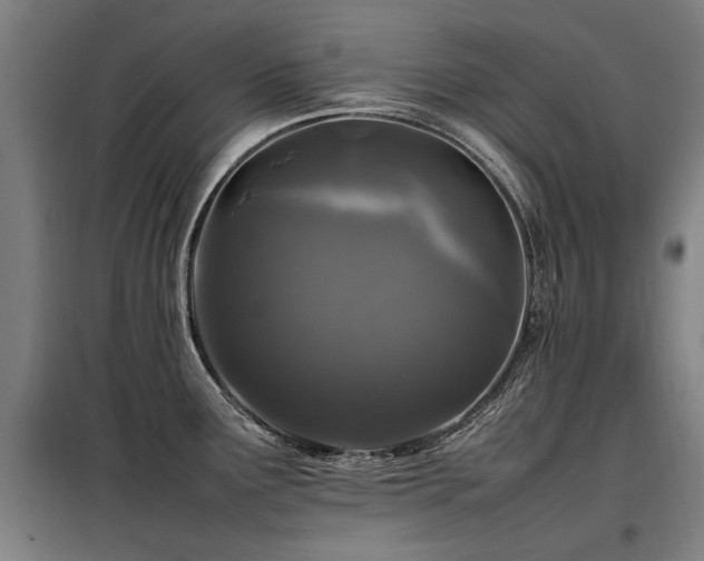 X0000098081291200804041140