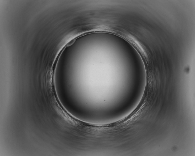X0000098081292200804041140