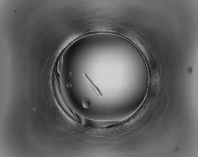 X0000098081293200804041140
