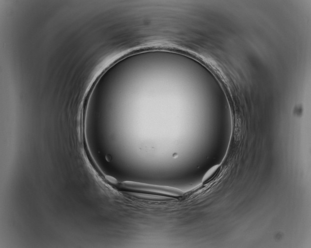 X0000098081295200804041140