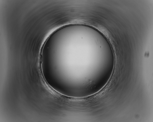 X0000098081296200804041140