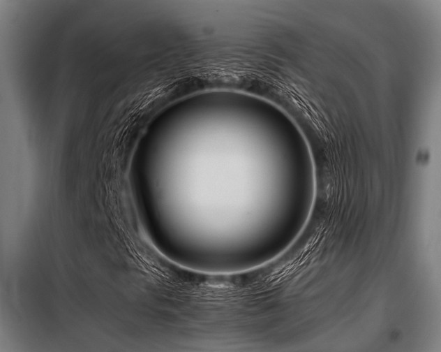 X0000098081297200804041139