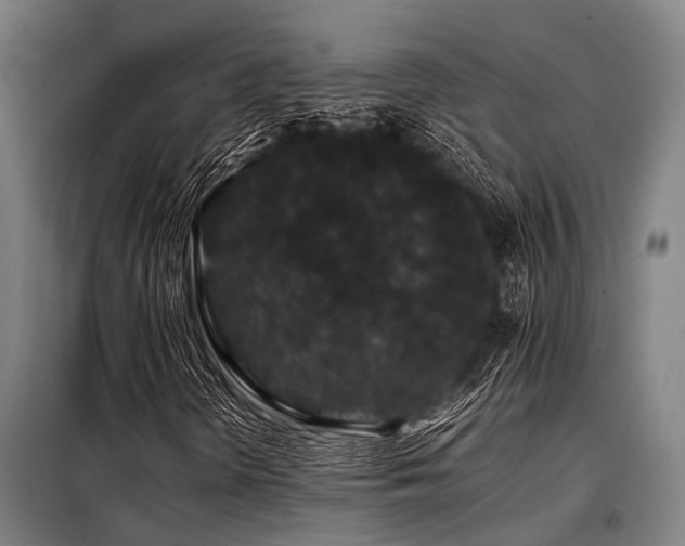 X0000098081298200804041139