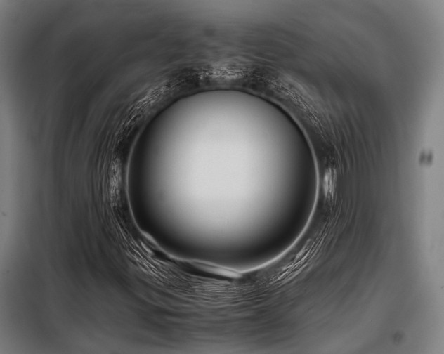 X0000098081299200804041139
