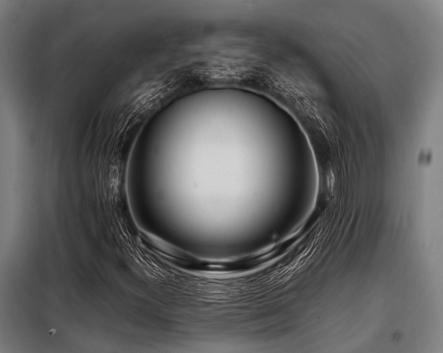 X0000098081300200804041139