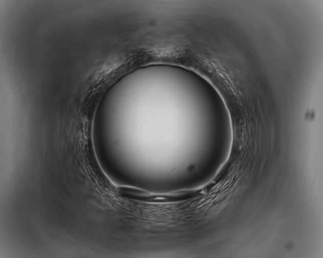 X0000098081301200804041139