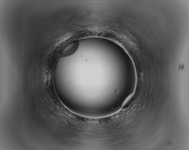 X0000098081302200804041139