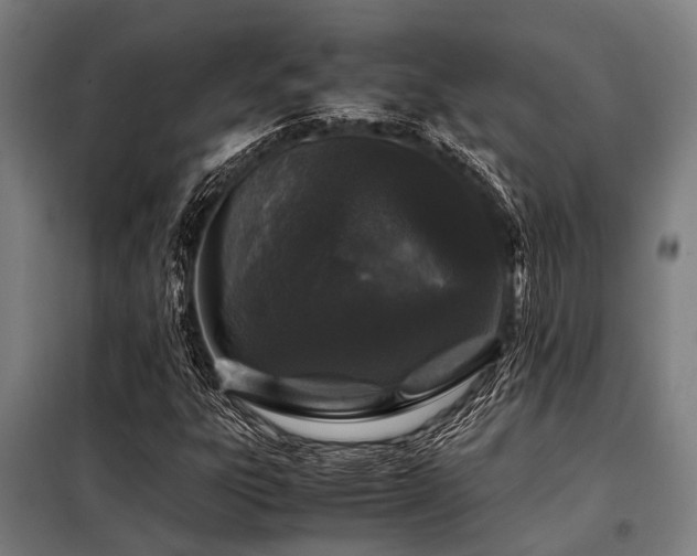 X0000098081303200804041139