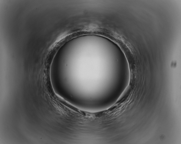 X0000098081304200804041139