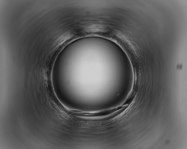 X0000098081305200804041139