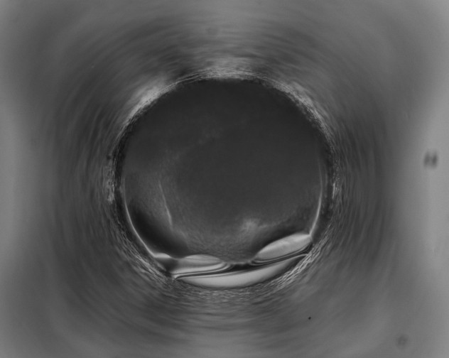 X0000098081306200804041139