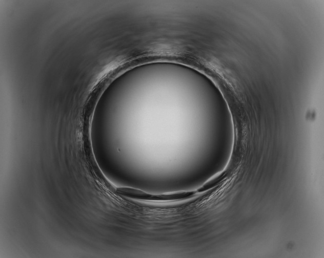 X0000098081307200804041139