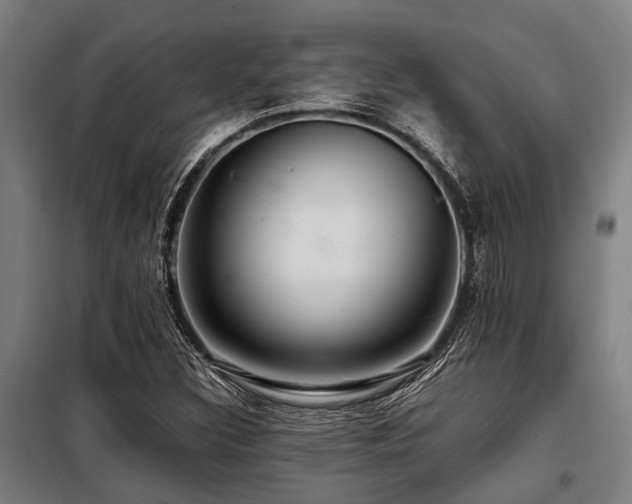 X0000098081308200804041139