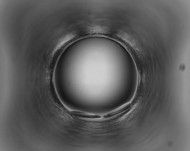 X0000098081309200804041139
