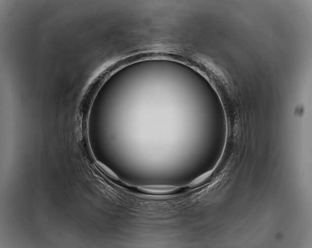 X0000098081310200804041139