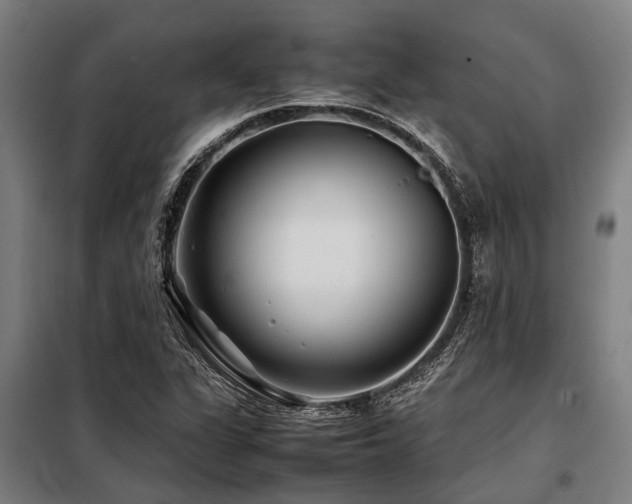X0000098081311200804041139