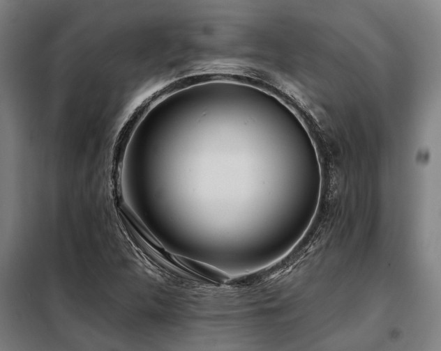 X0000098081312200804041139