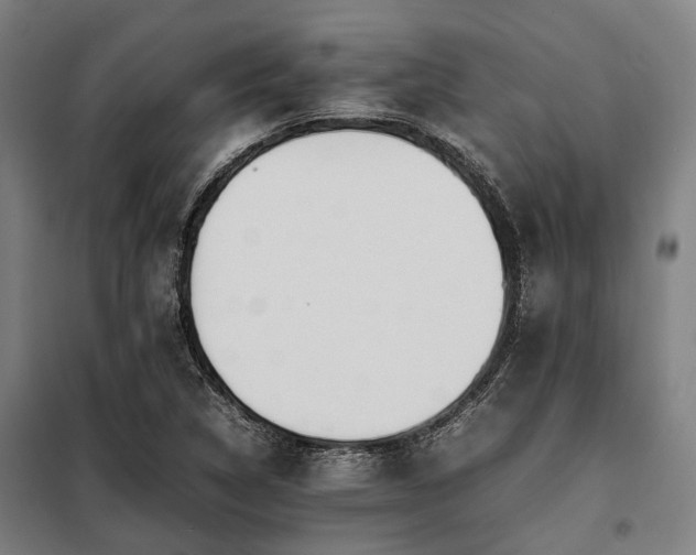 X0000098081314200804041139