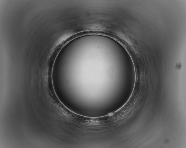X0000098081315200804041139