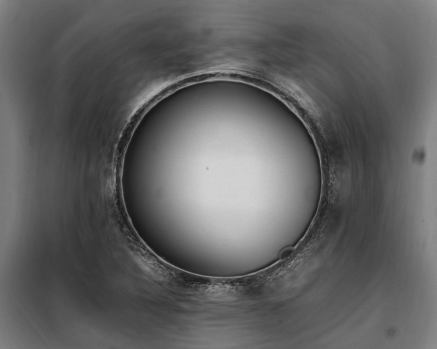 X0000098081316200804041139