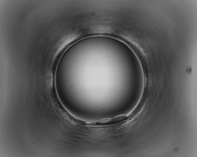 X0000098081317200804041140