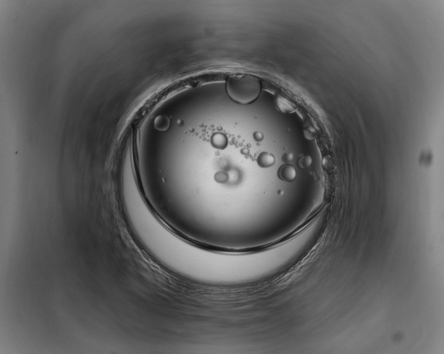 X0000098081318200804041140