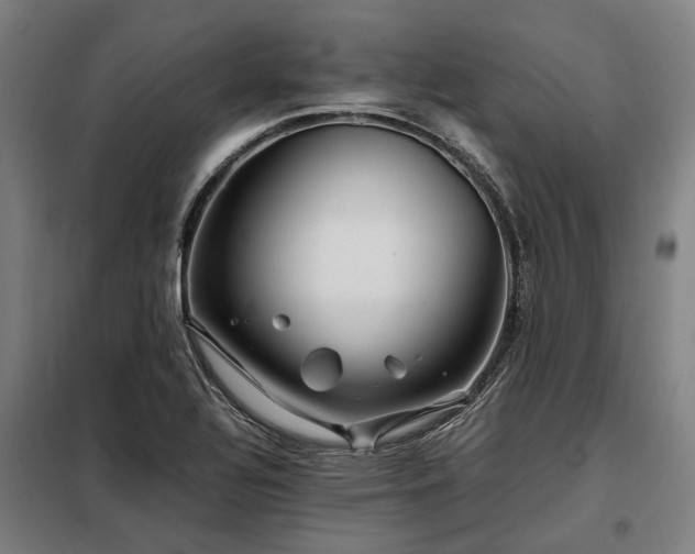 X0000098081320200804041140