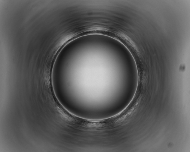 X0000098081321200804041140