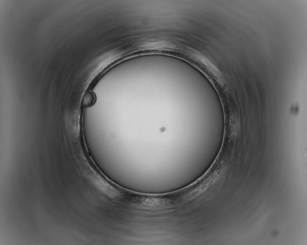 X0000098081322200804041140