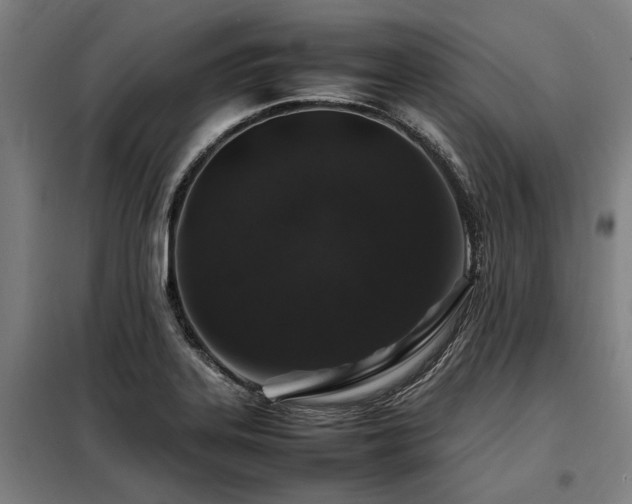 X0000098081323200804041140