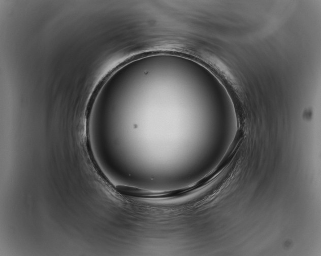 X0000098081324200804041140