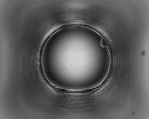 X0000098081325200804041140