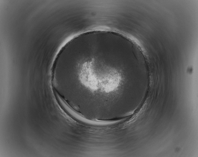 X0000098081326200804041140