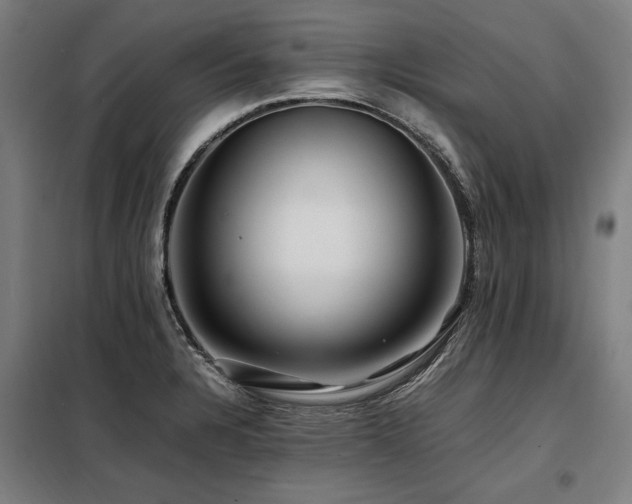 X0000098081328200804041140