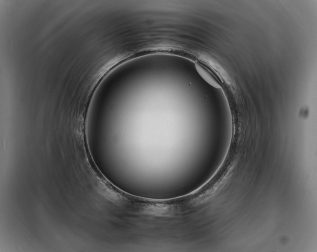 X0000098081329200804041140