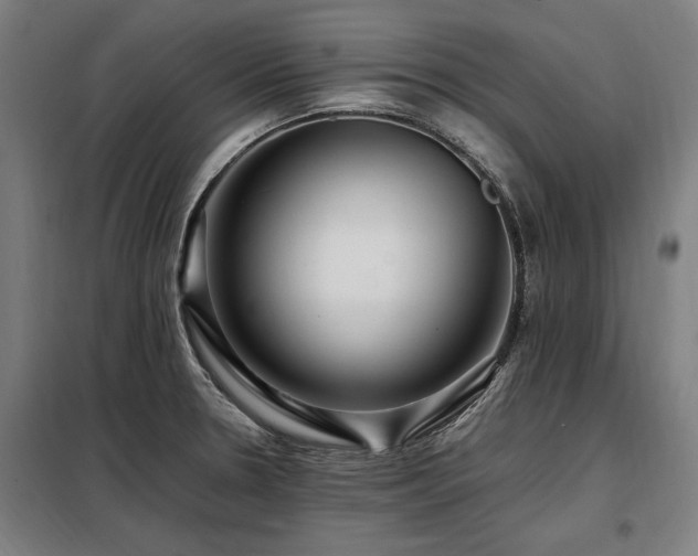 X0000098081330200804041140