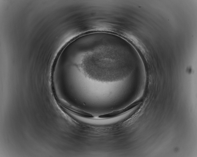 X0000098081331200804041140