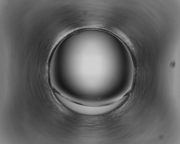 X0000098081332200804041140