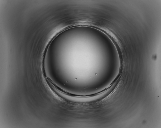 X0000098081333200804041140