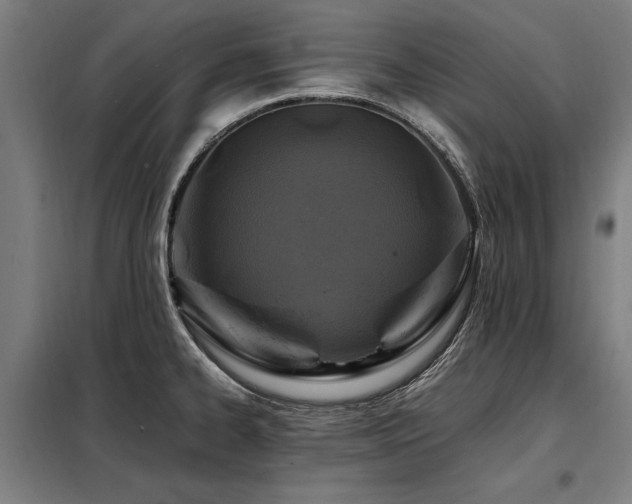 X0000098081334200804041140