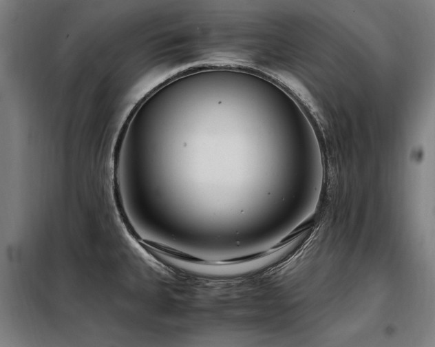 X0000098081335200804041140