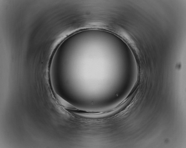 X0000098081336200804041140