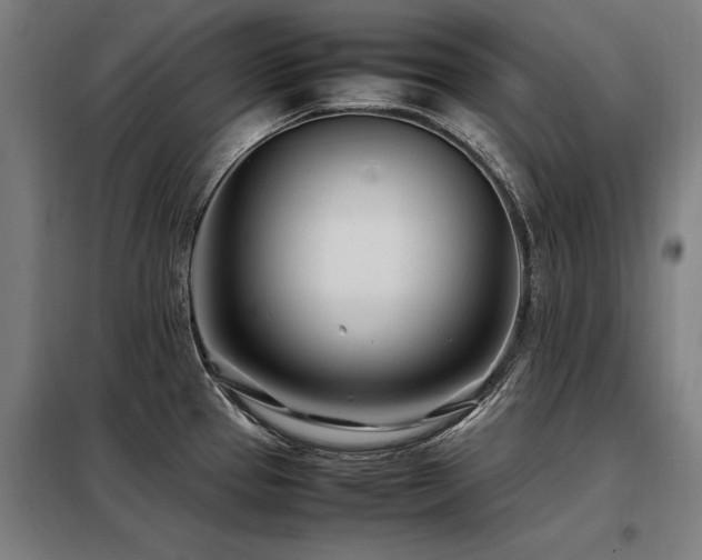X0000098081337200804041140