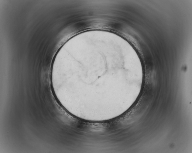 X0000098081338200804041140